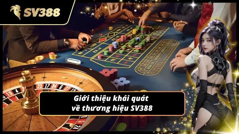 Hình ảnh tổng quan thể hiện quy mô hoạt động hiện tại