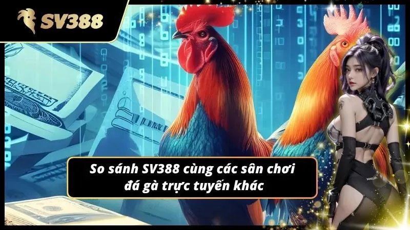 Đối chiếu giữa nhiều lựa chọn khác nhau để chọn nơi phù hợp