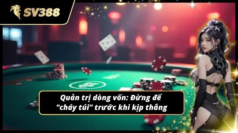 Các chồng chip cược được phân loại và sắp xếp cẩn thận