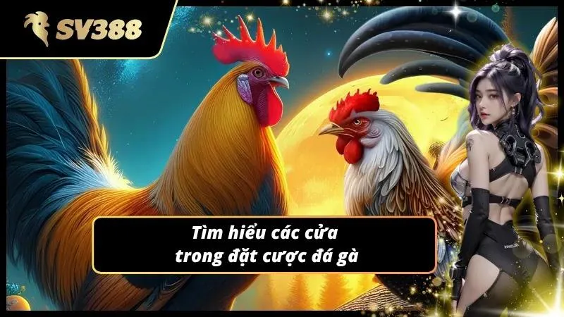Phân tích các cửa đặt cược phổ biến tại nhà cái