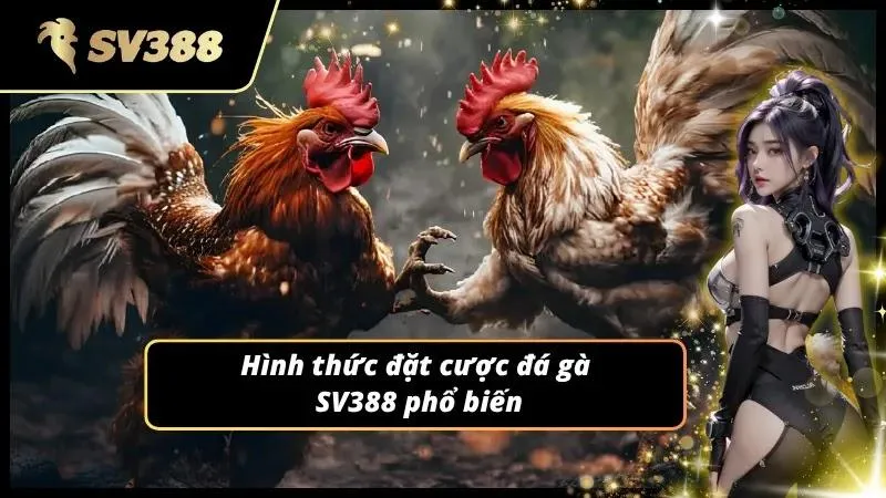 Các loại hình giải trí hấp dẫn tại sảnh đá gà SV388