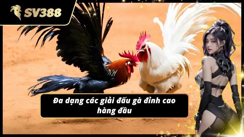 cách xem đá gà sv388 trực tiếp