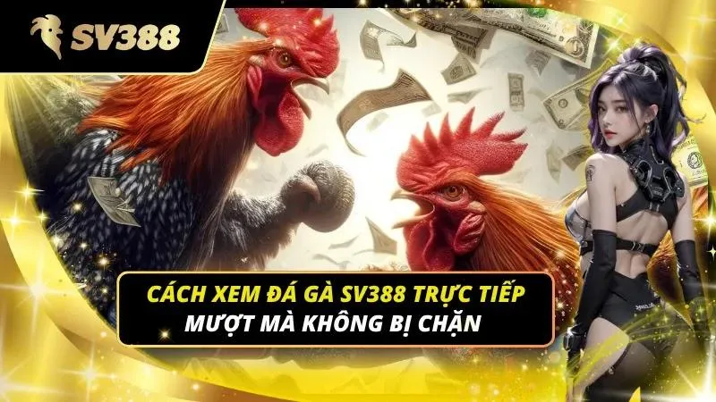 cách xem đá gà sv388 trực tiếp