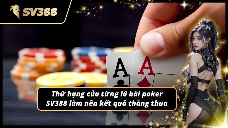 Bảng kết quả chiến thắng chung cuộc