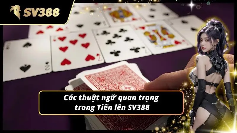 Thuật ngữ quan trọng giúp hội viên làm chủ cuộc chơi