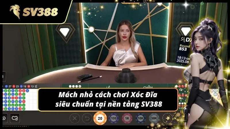 Cách chơi Xóc Đĩa hạ gục nhà cái trong thời gian ngắn